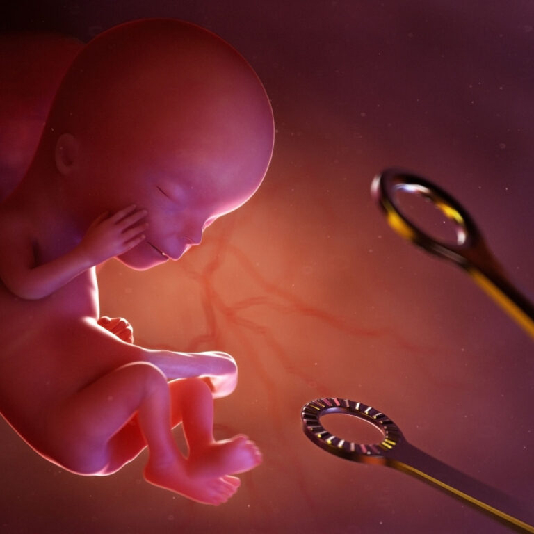 Baby In Utero Rendering